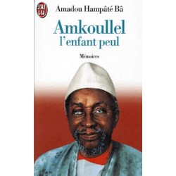 Amkoullel l'enfant peul : mémoires