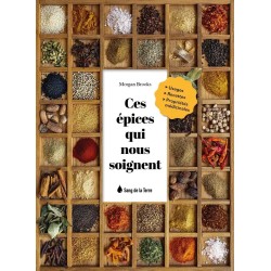 Ces épices qui nous soignent