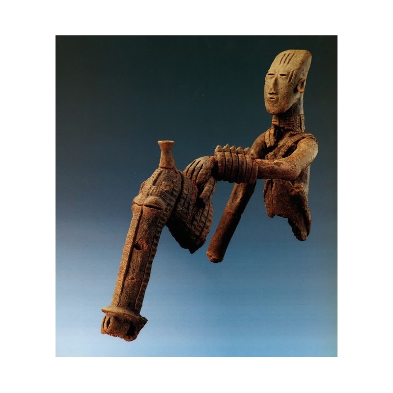 Vallées du Niger (p. 416-475)