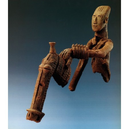 Vallées du Niger (p. 132-172)