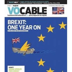 Brexit: one year on (Vocable)