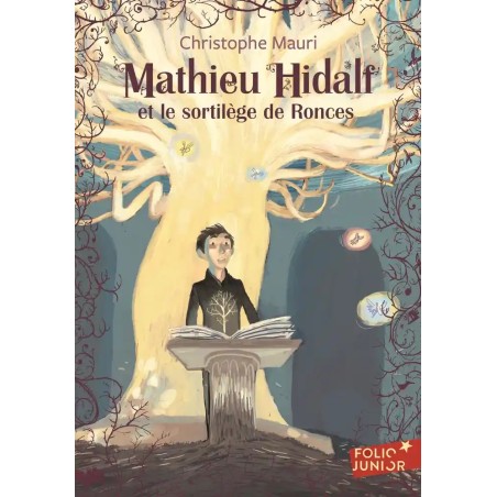 Mathieu Hidalf T 3